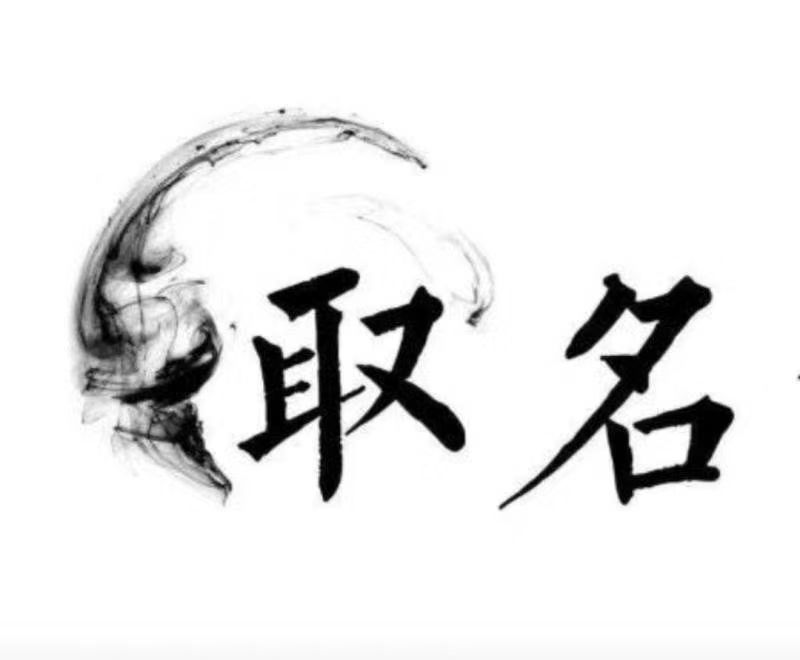  瑞金宝宝取名 大师一对一人工起名